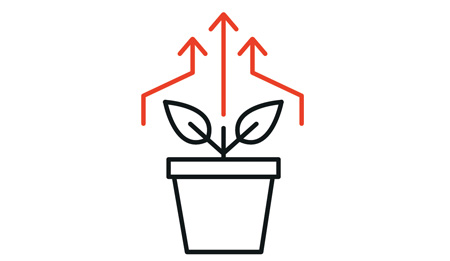 Module 19: Business Process Improvement